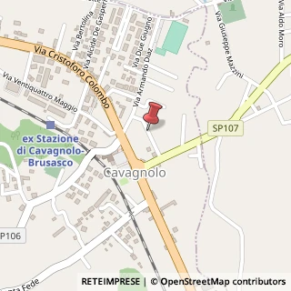 Mappa Via Enrico Fermi, 9, 10020 Cavagnolo TO, Italia, 10020 Cavagnolo, Torino (Piemonte)