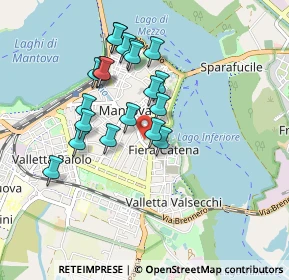 Mappa Via Sant'Egidio, 46100 Mantova MN, Italia (0.797)