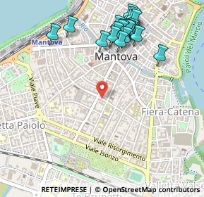 Mappa Via Mazzini, 46030 Mantova MN, Italia (0.5955)