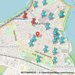 Mappa Via Mazzini, 46030 Mantova MN, Italia (0.6025)