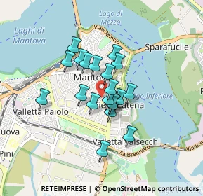 Mappa Via Pietro Frattini, 46100 Mantova MN, Italia (0.5905)