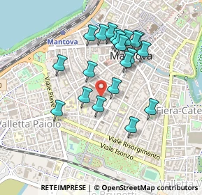 Mappa Via Fratelli Grioli, 46100 Mantova MN, Italia (0.4125)