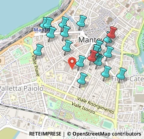 Mappa Via Fratelli Grioli, 46100 Mantova MN, Italia (0.4285)