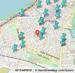 Mappa Via Fratelli Grioli, 46100 Mantova MN, Italia (0.5805)