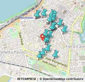 Mappa Via Fratelli Grioli, 46100 Mantova MN, Italia (0.372)