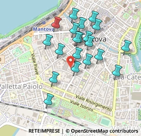 Mappa Via Fratelli Grioli, 46100 Mantova MN, Italia (0.4215)