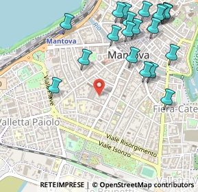 Mappa Via Fratelli Grioli, 46100 Mantova MN, Italia (0.6655)