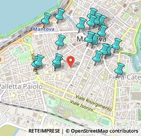 Mappa Via Fratelli Grioli, 46100 Mantova MN, Italia (0.496)