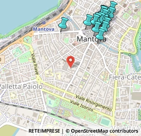 Mappa Via Fratelli Grioli, 46100 Mantova MN, Italia (0.675)