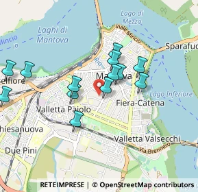 Mappa Via Fratelli Grioli, 46100 Mantova MN, Italia (0.83923)