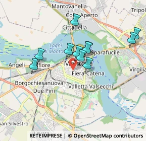 Mappa Via Fratelli Grioli, 46100 Mantova MN, Italia (1.56364)