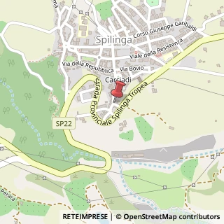 Mappa Via pontoriero, 89861 Spilinga, Vibo Valentia (Calabria)