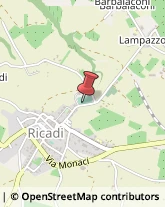 Via Roma, 98,89865Ricadi