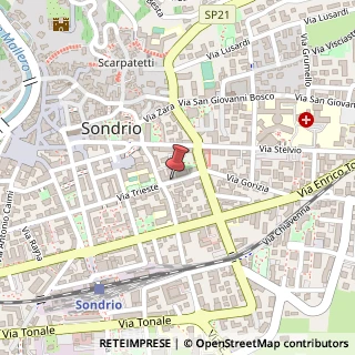 Mappa Via Trieste, 31, 23100 Sondrio, Sondrio (Lombardia)