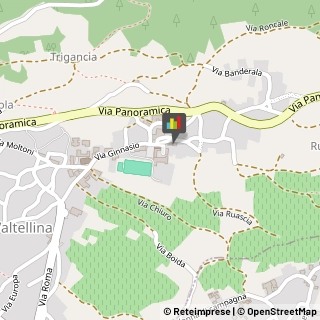 Aziende Agricole Ponte in Valtellina,23026Sondrio