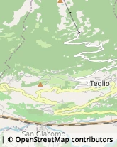 Aziende Agricole Teglio,23036Sondrio