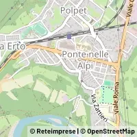 Map Ponte nelle Alpi