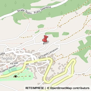 Mappa Via Provinciale Beinette, 48, 23036 Teglio, Sondrio (Lombardia)