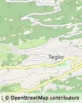 Autotrasporti Teglio,23036Sondrio