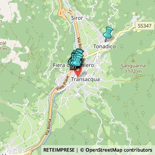 Mappa Via Sass Maor, 38054 Transacqua TN, Italia (0.343)