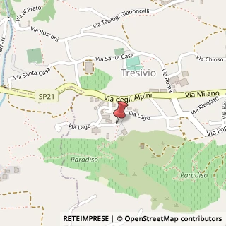 Mappa Via Lago, 29, 23020 Tresivio, Sondrio (Lombardia)