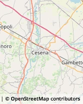 Bulbi e Sementi Cesena,47521Forlì-Cesena