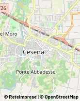 Bulbi e Sementi Cesena,47521Forlì-Cesena