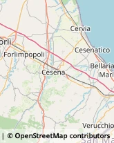 Rosticcerie e Salumerie Cesena,47522Forlì-Cesena