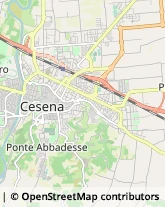 Rosticcerie e Salumerie Cesena,47521Forlì-Cesena