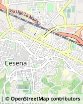 Notai Cesena,47521Forlì-Cesena