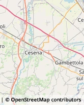 Asili Nido Cesena,47521Forlì-Cesena