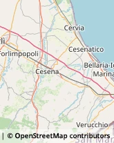 Rosticcerie e Salumerie Cesenatico,47042Forlì-Cesena