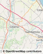 Rosticcerie e Salumerie Cesena,47522Forlì-Cesena