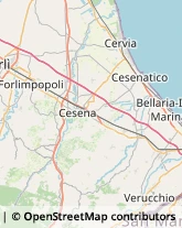 Istituti di Bellezza Forlimpopoli,47034Forlì-Cesena