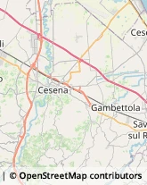 Avicoltura Cesena,47023Forlì-Cesena