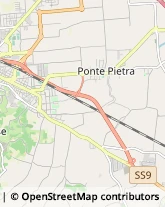 Trasporti Internazionali Cesena,47023Forlì-Cesena