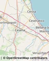 Trasporti Internazionali Meldola,47014Forlì-Cesena