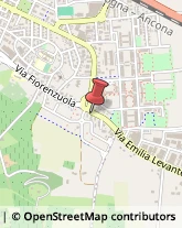 Via Emilia Levante, 12,47521Cesena