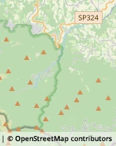 Tour Operator e Agenzia di Viaggi Gaggio Montano,40041Bologna