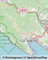 Istituti di Bellezza Riccò del Golfo di Spezia,19020La Spezia