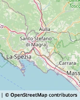 Trasporti La Spezia,19126La Spezia