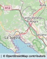 Pediatri - Medici Specialisti La Spezia,19122La Spezia