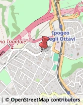 Via Ipogeo degli Ottavi, 89,00135Roma