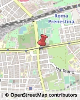 Via Prenestina, 246,00177Roma