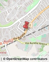 Via Aurelia, 770,00165Roma