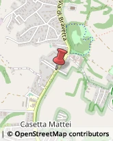 Via della Casetta Mattei, 403,00148Roma