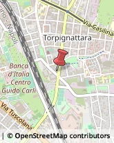 Via di Tor Pignattara, 206-210,00177Roma