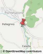 Via Ponte Pellegrino, 39,81040Pontelatone