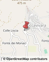 Località Madonna del Canneto, ,86020Roccavivara