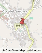 Via Alcide De Gasperi, 21,71018Vico del Gargano